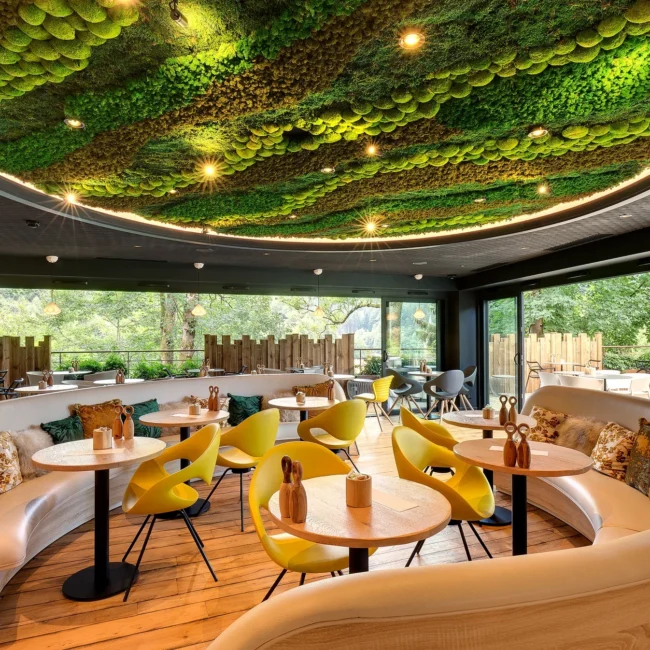 interior design companies in dubai -Whitemonde