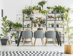 Role of plants in interior designing